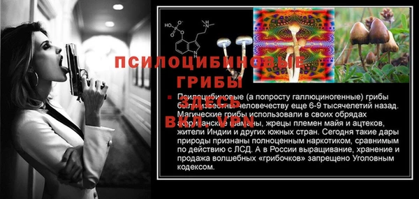 MDMA Богородицк